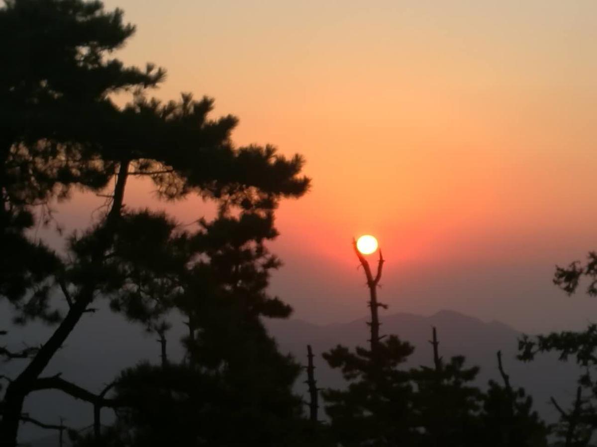 فيلا Mogan Mountain Xiaomusensen Deqing المظهر الخارجي الصورة