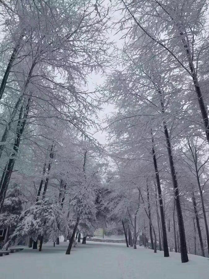 فيلا Mogan Mountain Xiaomusensen Deqing المظهر الخارجي الصورة