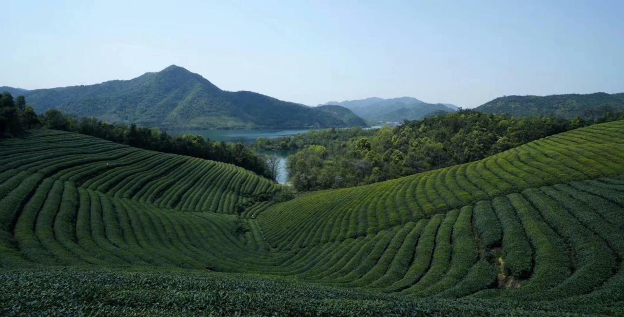 فيلا Mogan Mountain Xiaomusensen Deqing المظهر الخارجي الصورة